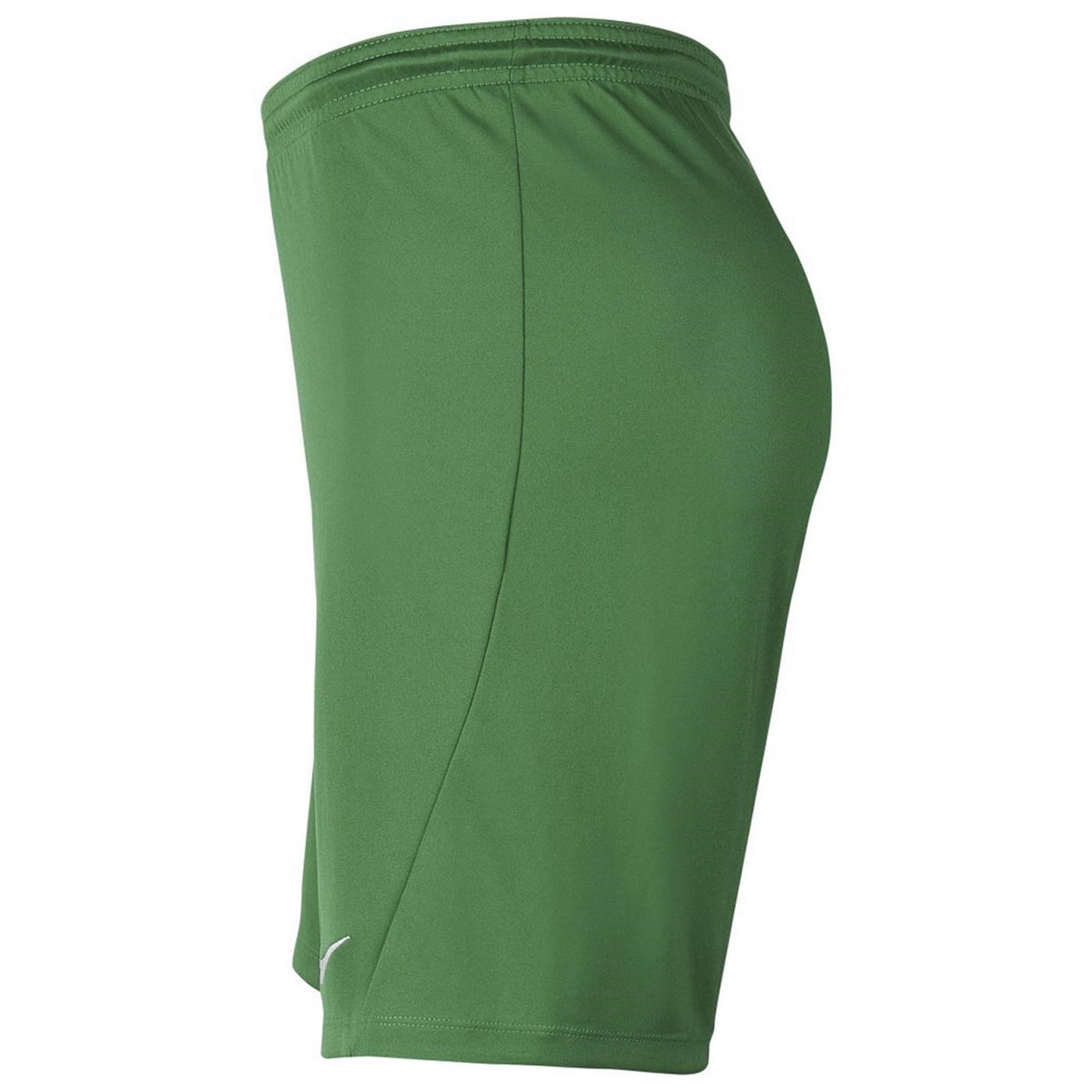 Nike M Nk Dry Park Iıı Short NB K Erkek Şort Pine Green - White