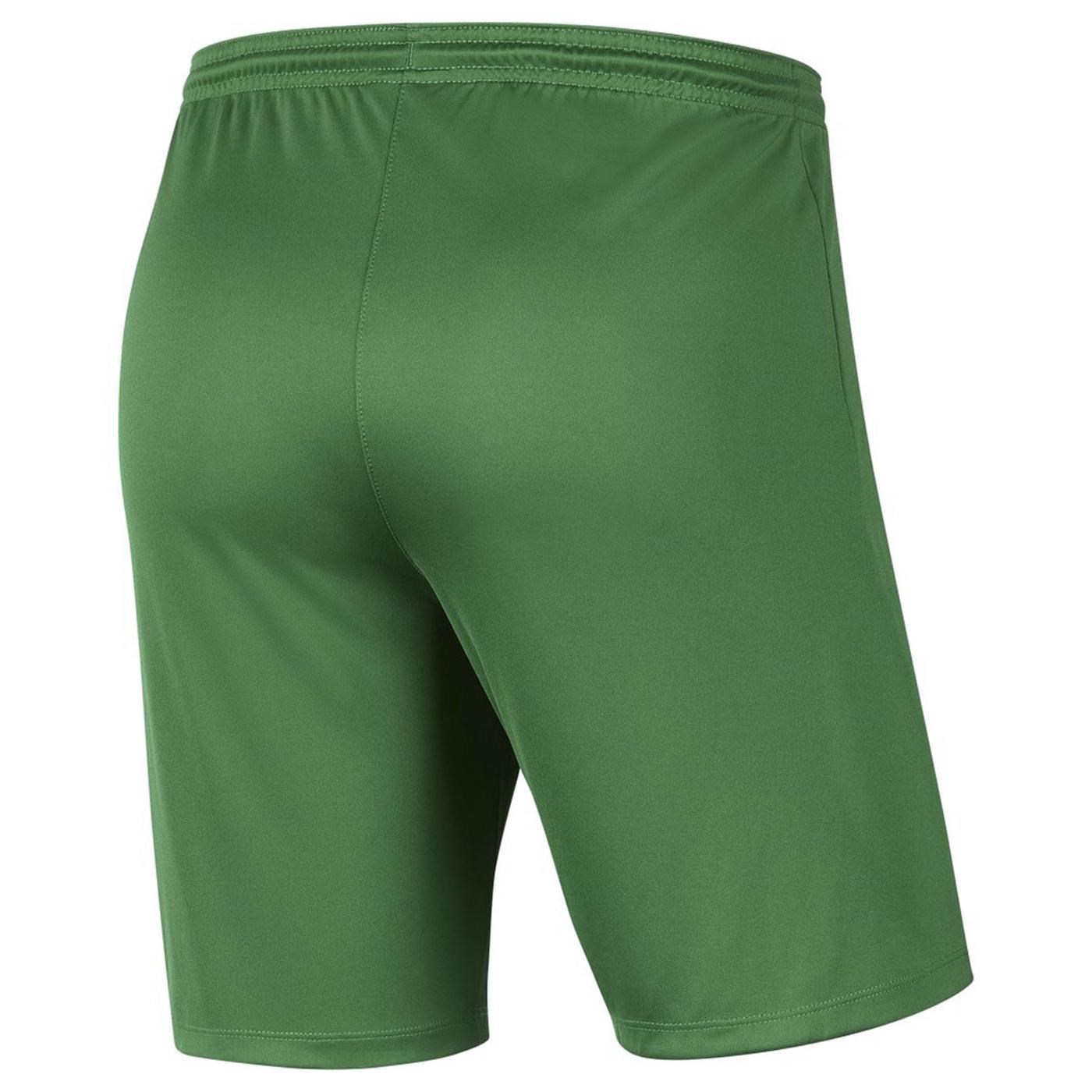 Nike M Nk Dry Park Iıı Short NB K Erkek Şort Pine Green - White