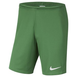 Nike M Nk Dry Park Iıı Short NB K Erkek Şort Pine Green - White